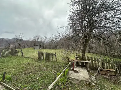 Casa de vacanta la tara