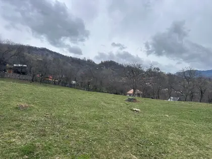 Casa de vacanta la tara